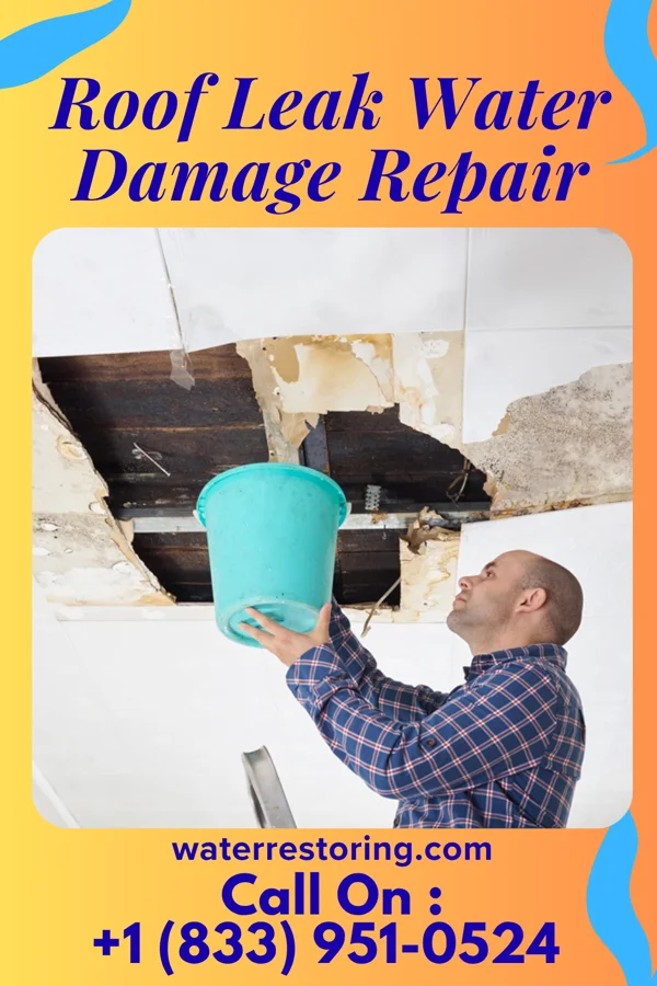 Roof Leak Water Damage Repair in Eaton, CO